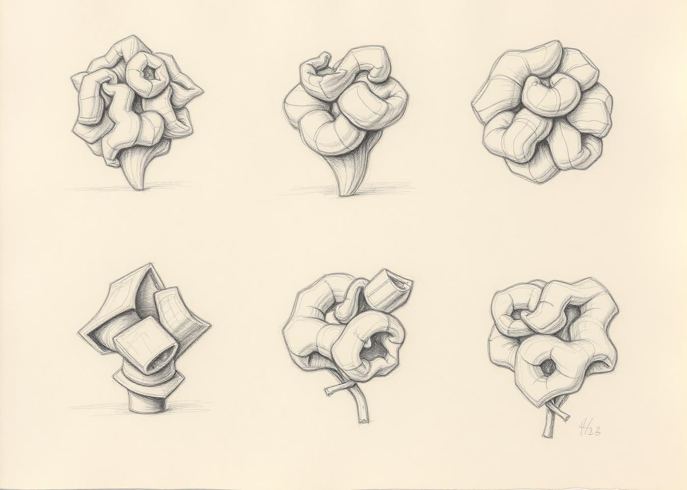 Studies, most of them abandoned.